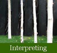 Interpreting revelation
