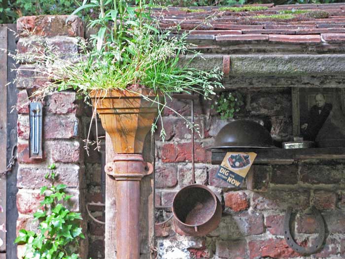 Photo of a world war 2 outhouse which is overgrown. Inside is a photo of 'Winston Churchill, a tin hat and the slogan 'dig for victory now.' 